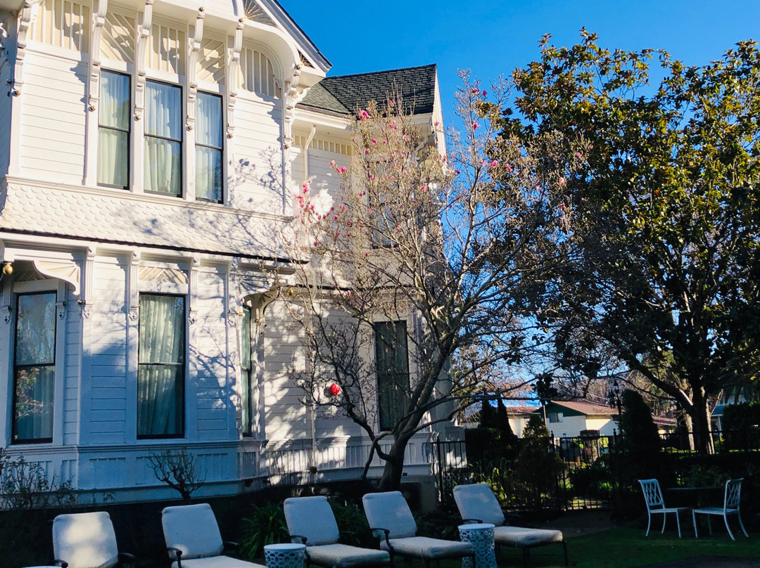 White House Napa主图