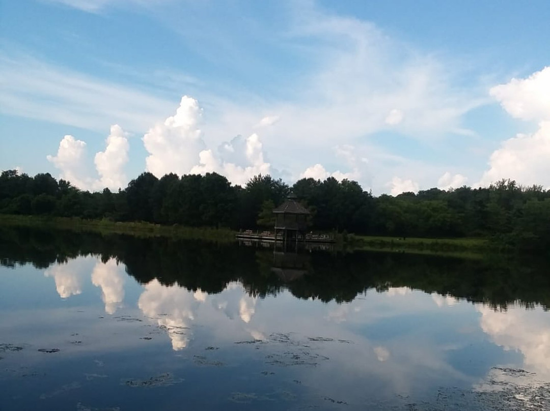 Lake Artemesia-科利奇帕克必去景点