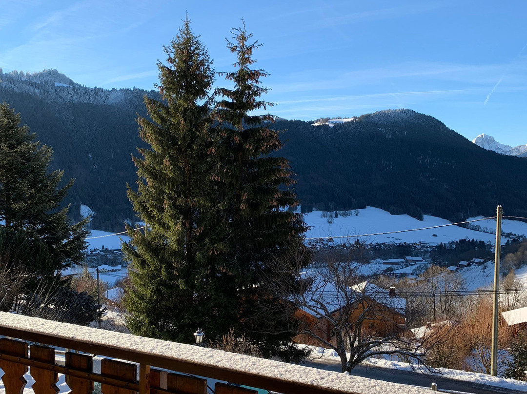 Chalet Le Titlis主图