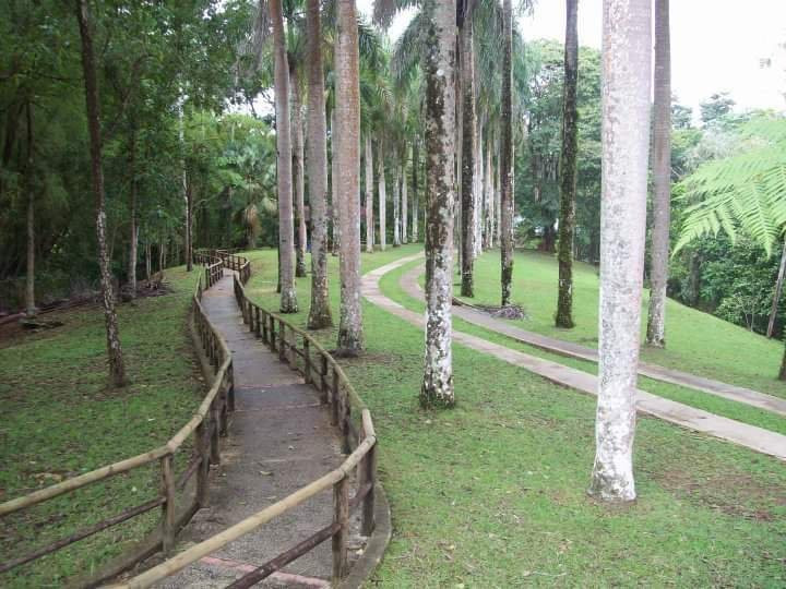 Caguana Ceremonial Park and Museum景点图片