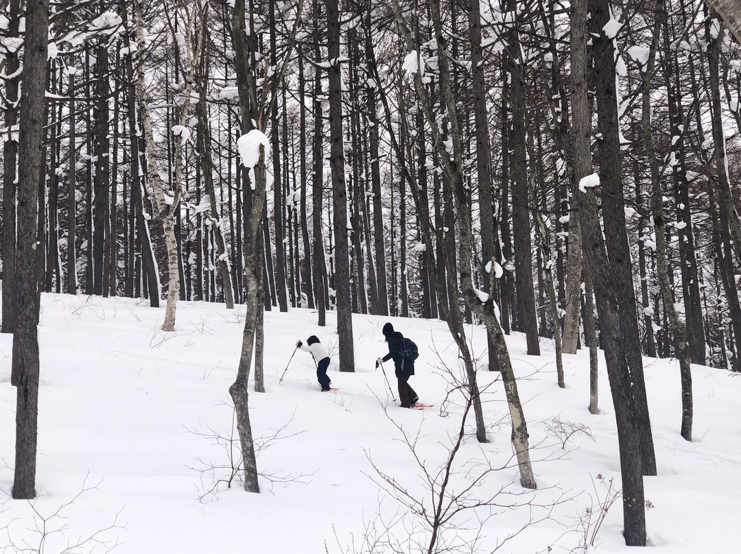 Madarao Kogen Yama no Ie-饭山市必去景点