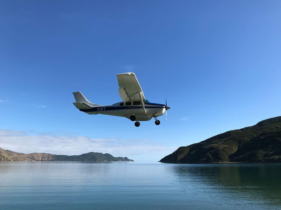 Pelorus Air景点图片
