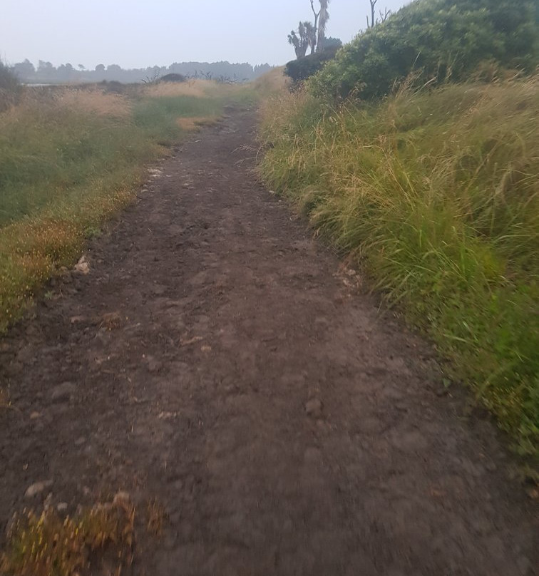 斯宾塞公园-基督城必去景点