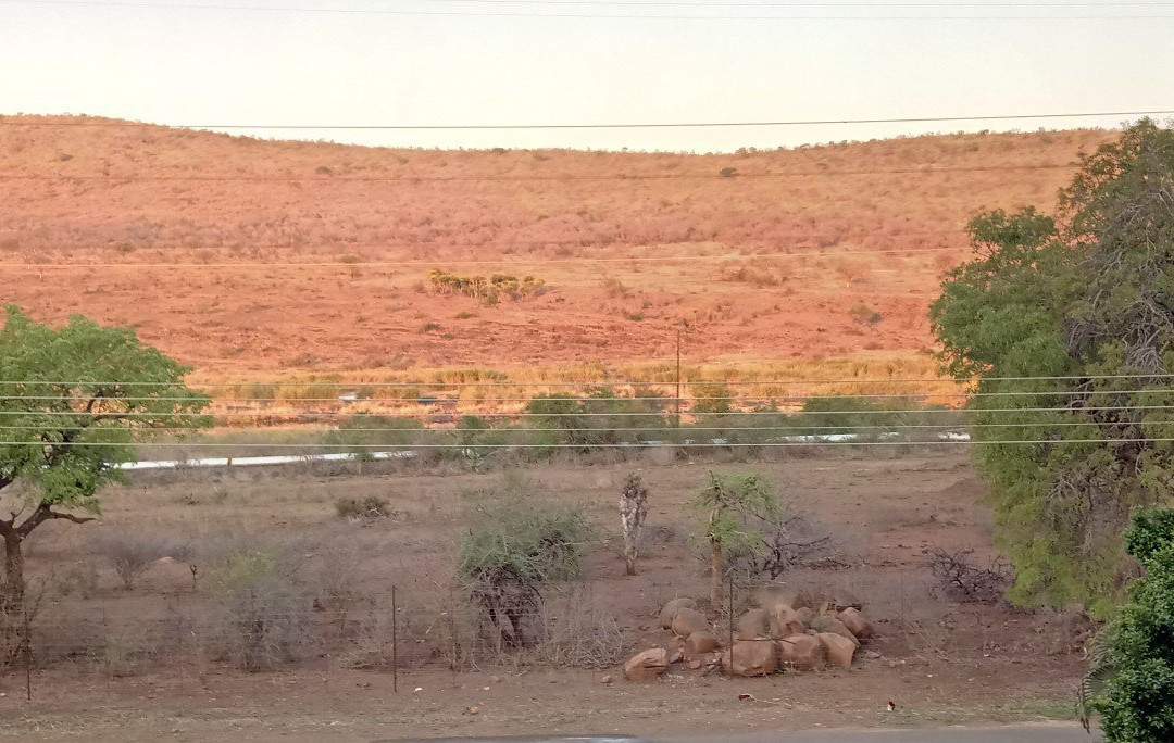 Pumba's Africa主图