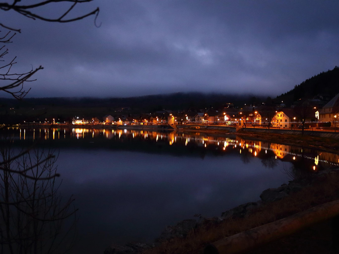 Hôtel de la Truite主图