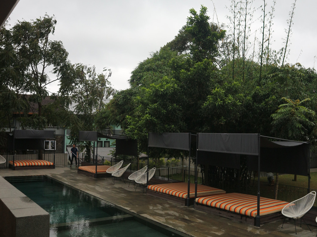 Blackbird Hotel主图