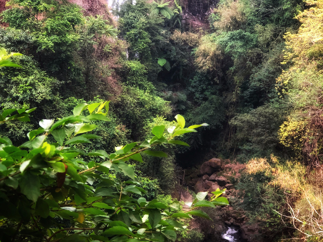 Muara Jaya Waterfall-Majalengka必去景点
