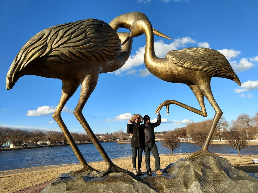 Lago de las Garzas-Guachochi必去景点