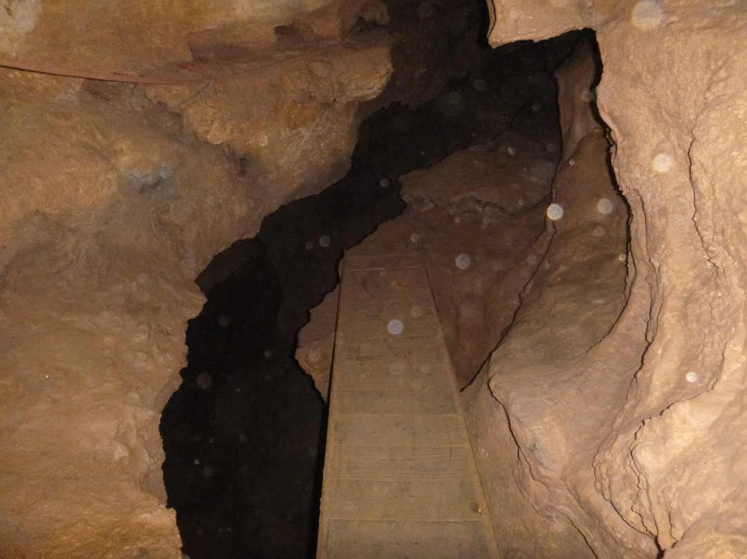 Raccoon Mountain Caverns景点图片