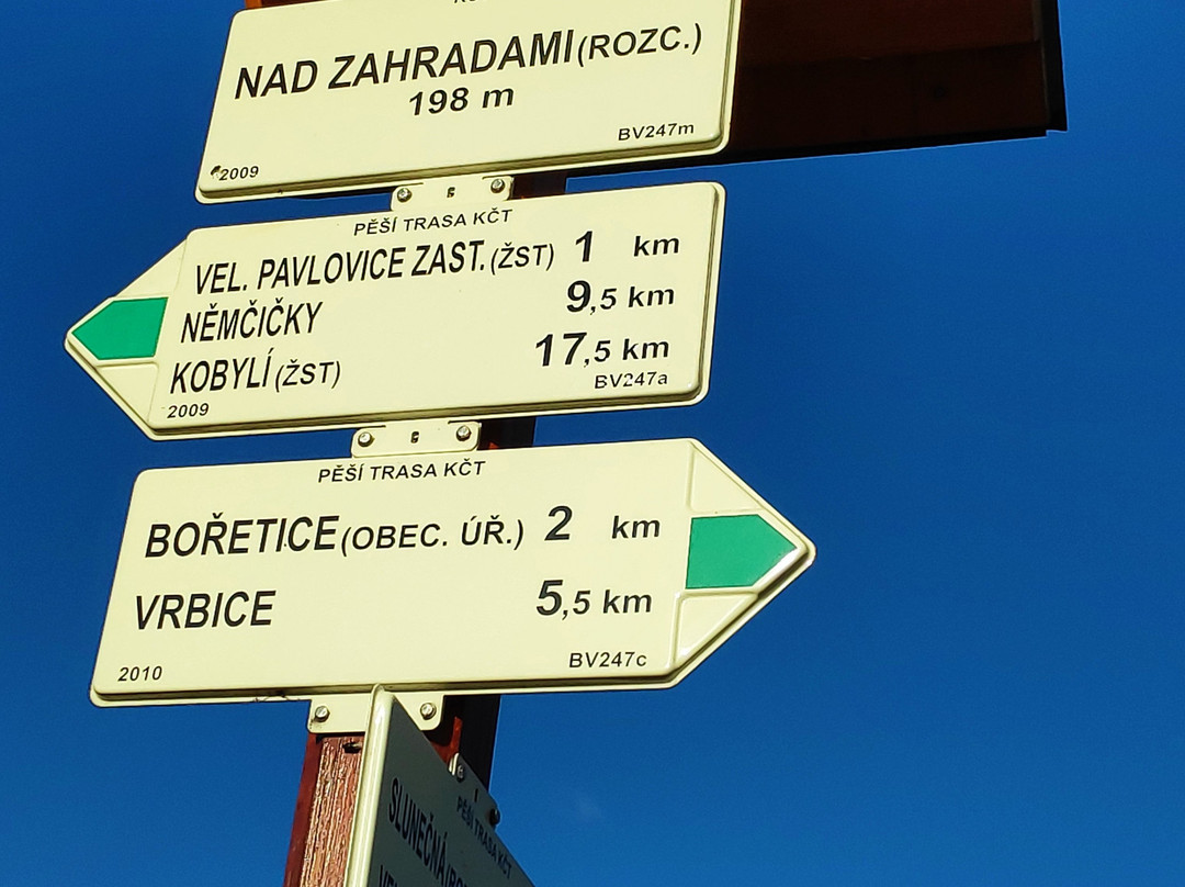 Lookout Mountain Cow-Boretice必去景点