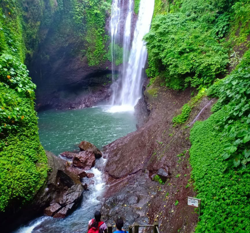 Aling-Aling Waterfall景点图片