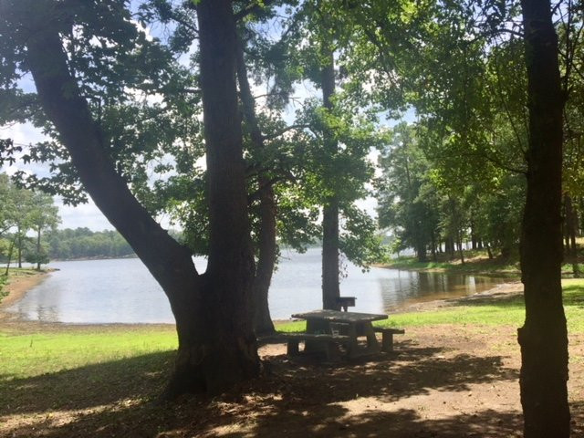 Cypress Black Bayou Park & Recreation Area-Benton必去景点