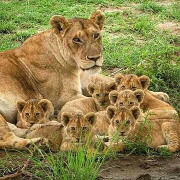 Kenya Watamu Safaris-瓦塔木必去景点