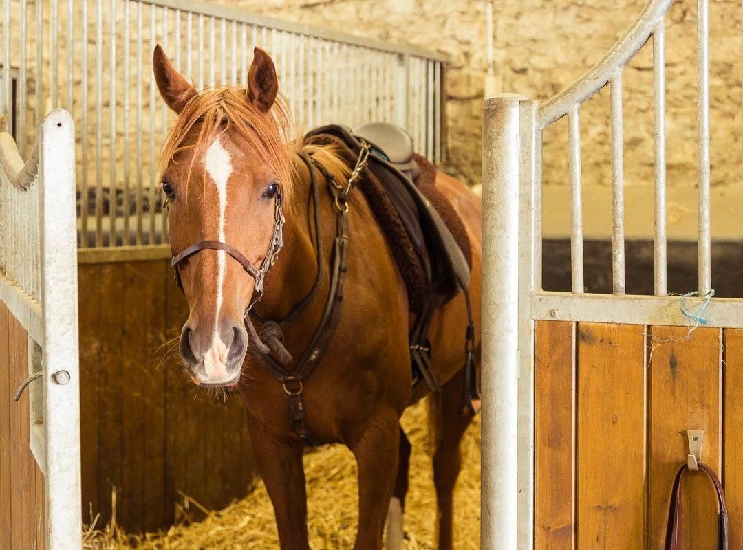 Écuries ALF-Chamant必去景点