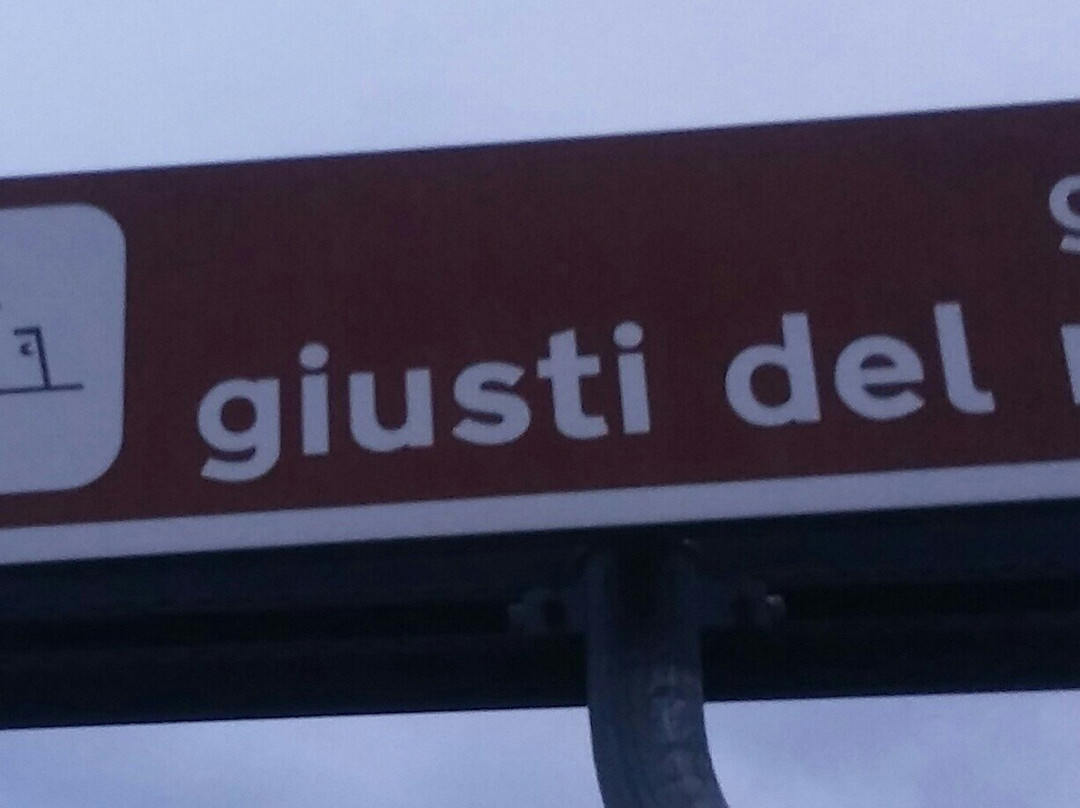 Il Giardino dei Giusti del Mondo-帕多瓦必去景点