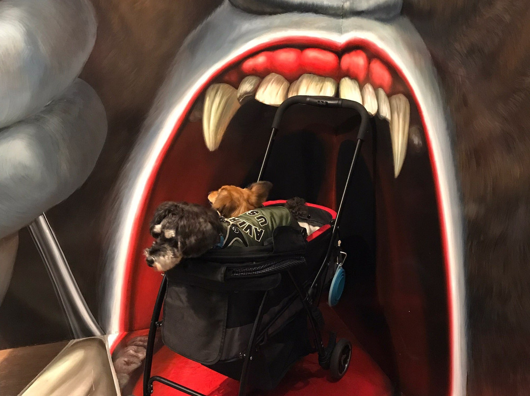 House of Trick Art-那须町必去景点