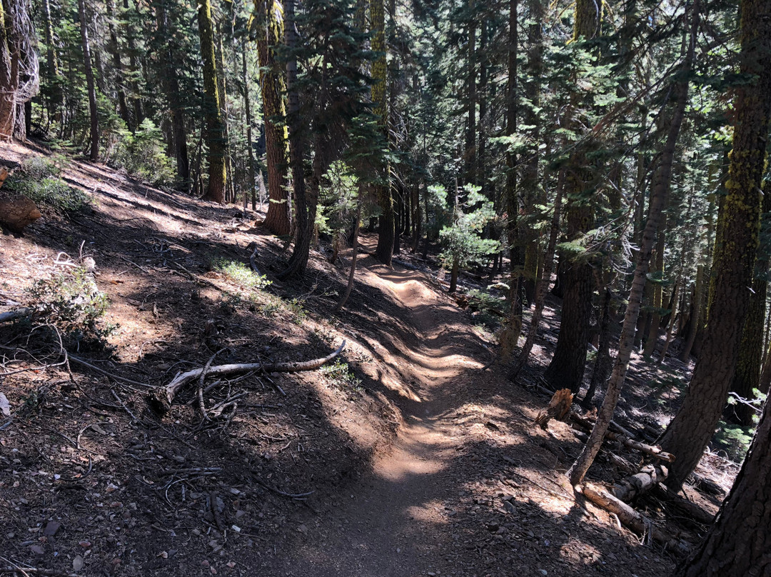 The Downieville Downhill-Downieville必去景点