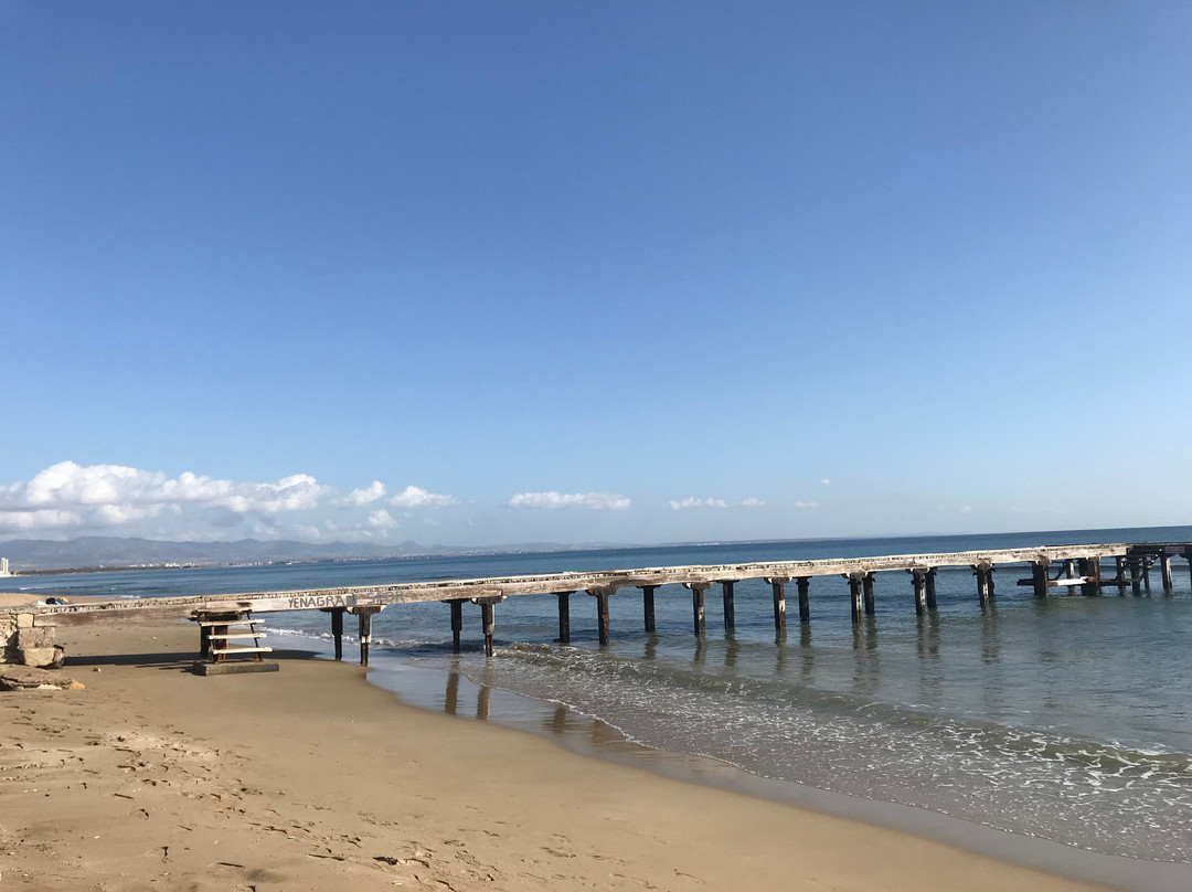 The Pines Guest Rooms主图