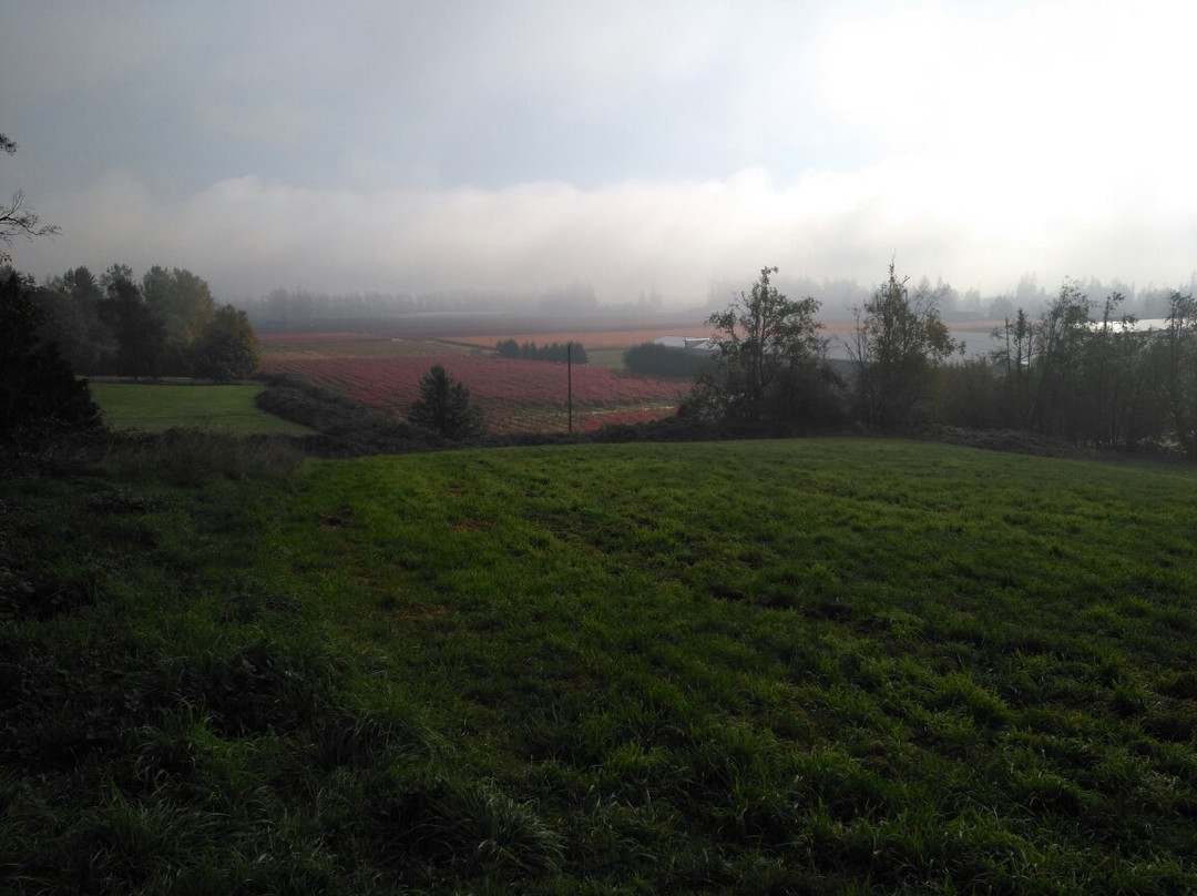 Aldergrove Park-Aldergrove必去景点