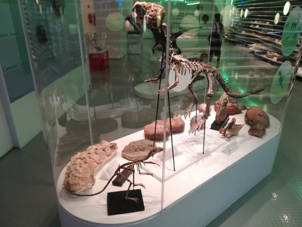 Museu de História Natural-辛特拉必去景点