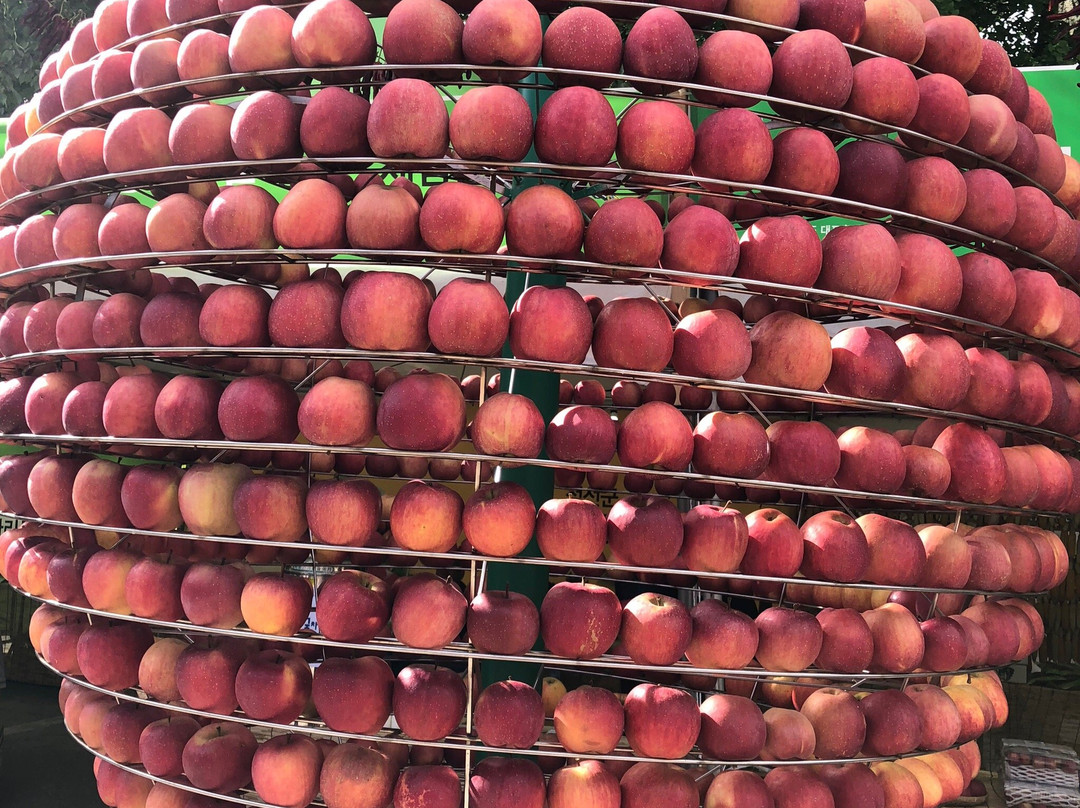 Jeongseon Arirang Festival-旌善郡必去景点