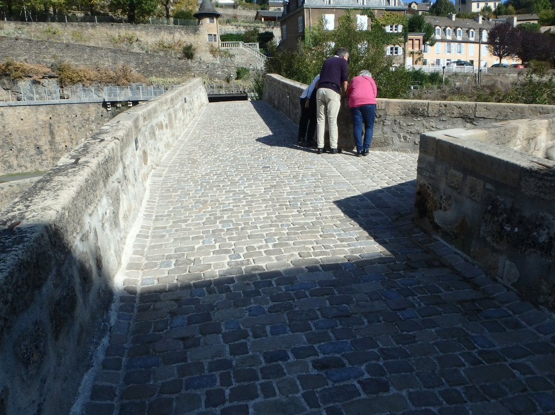 Pont Notre-Dame景点图片