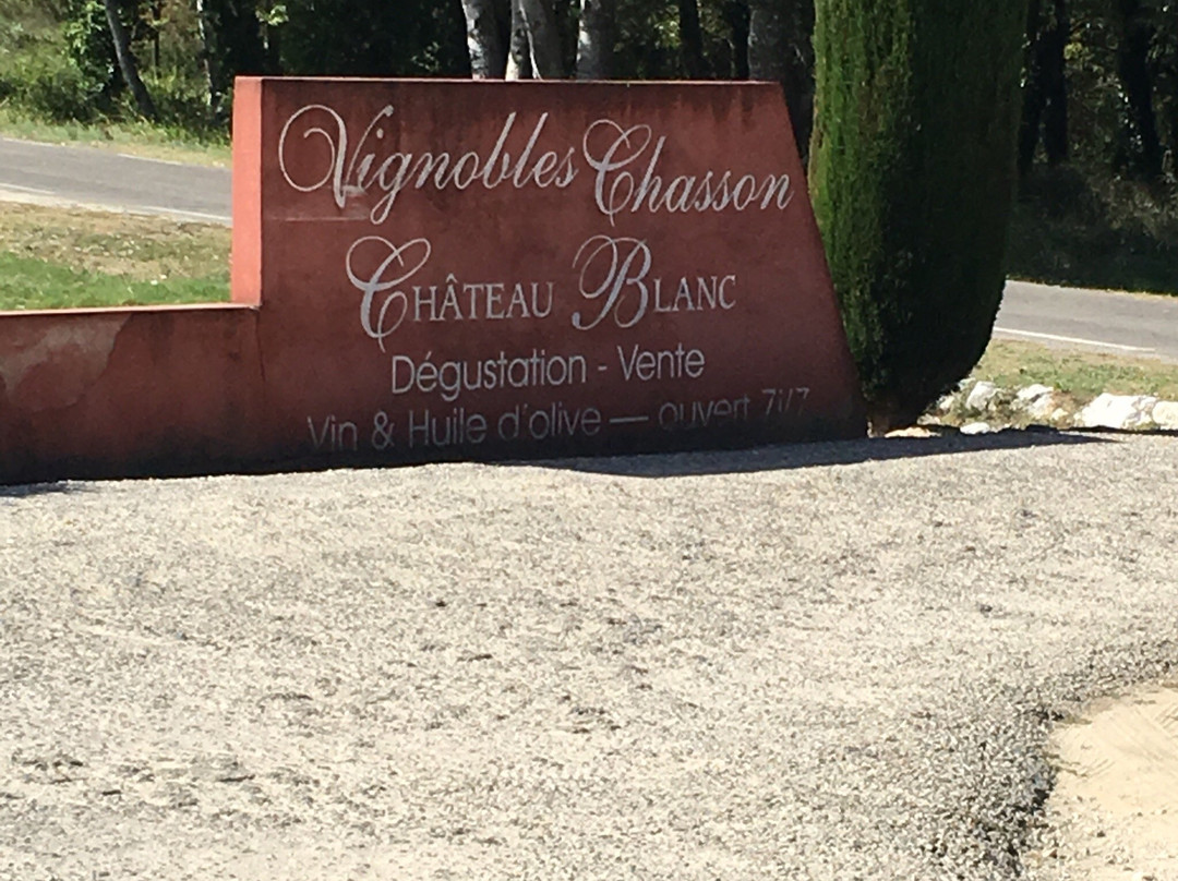 Vignoble Chasson Château Blanc景点图片