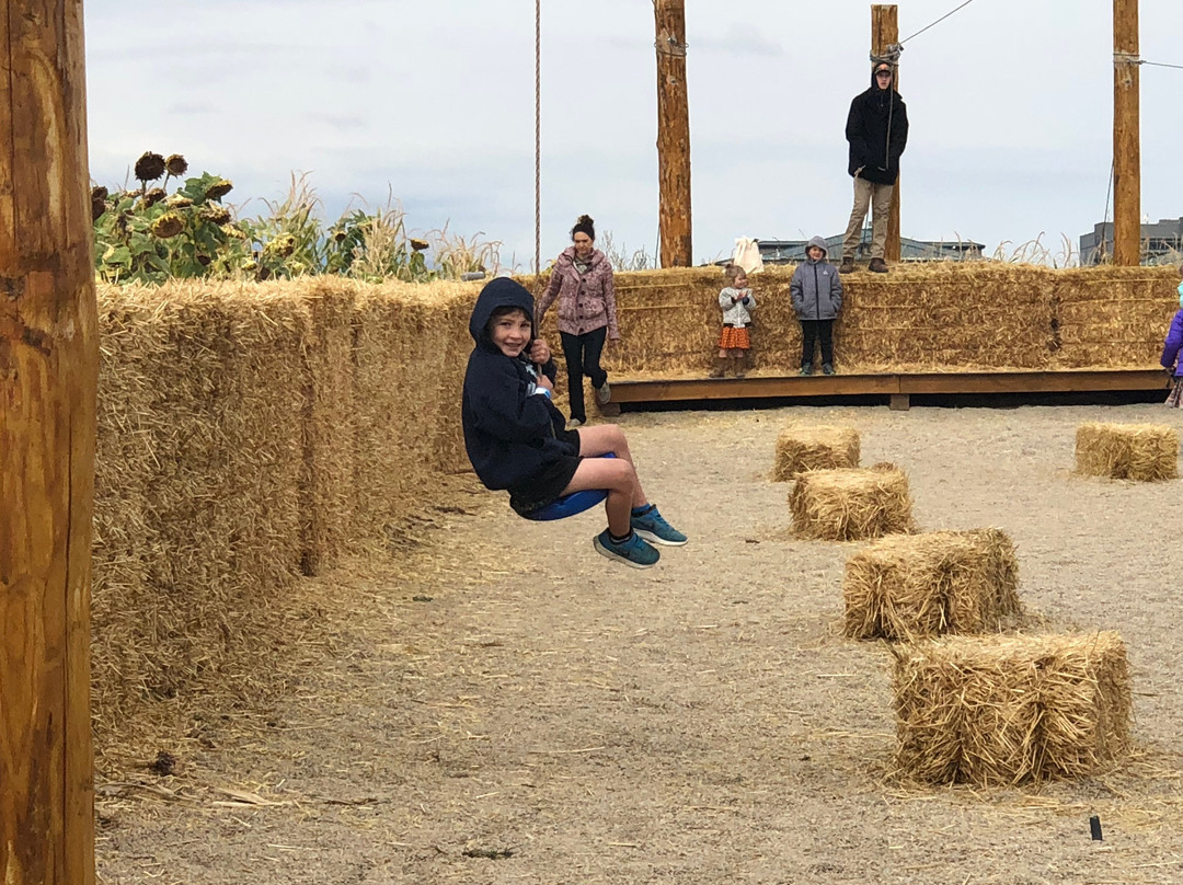 Cornbelly's Corn Maze & Pumpkin Fest景点图片