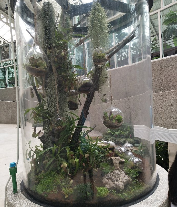 Lamtakhong Research景点图片