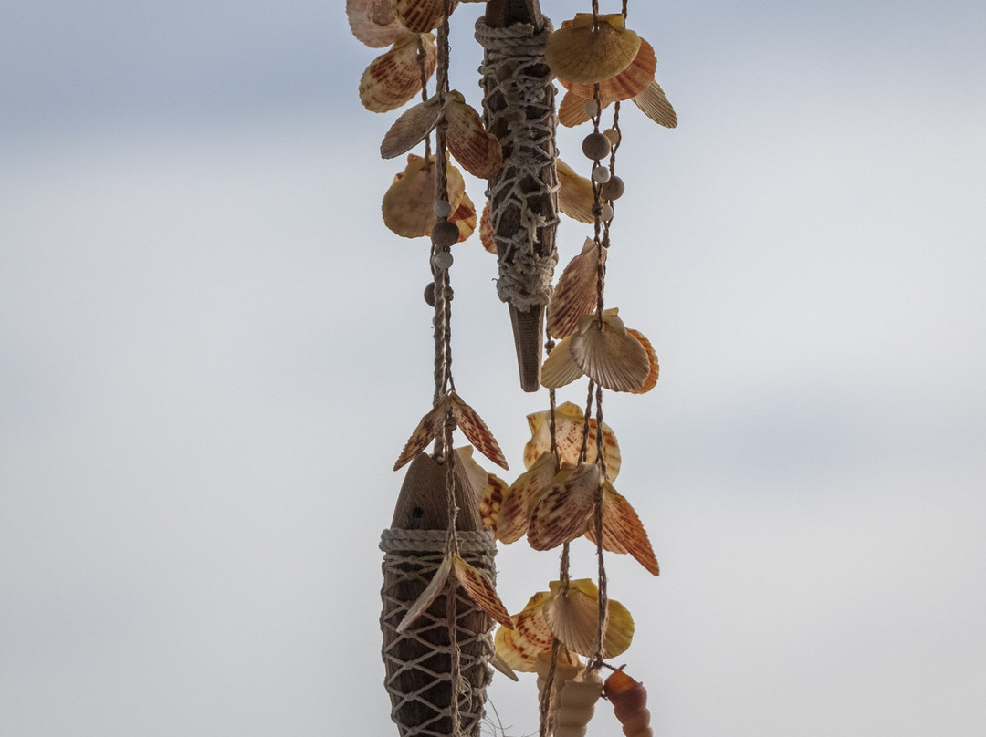 Natural Blends Esthetics Spa Kokomo-威廉斯塔德必去景点