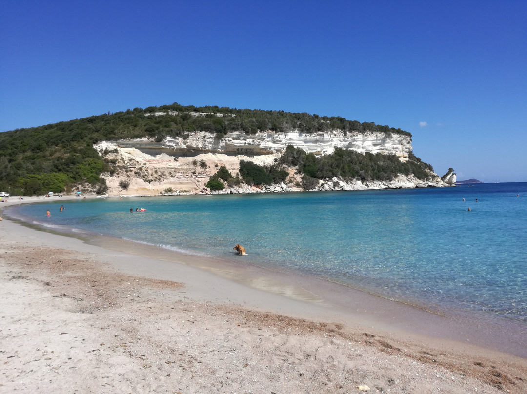 Plage de Canetto景点图片