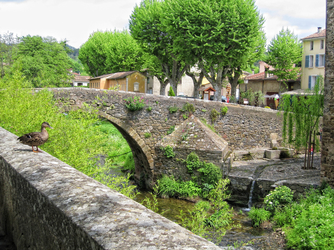 Office de Tourisme de Collobrières景点图片