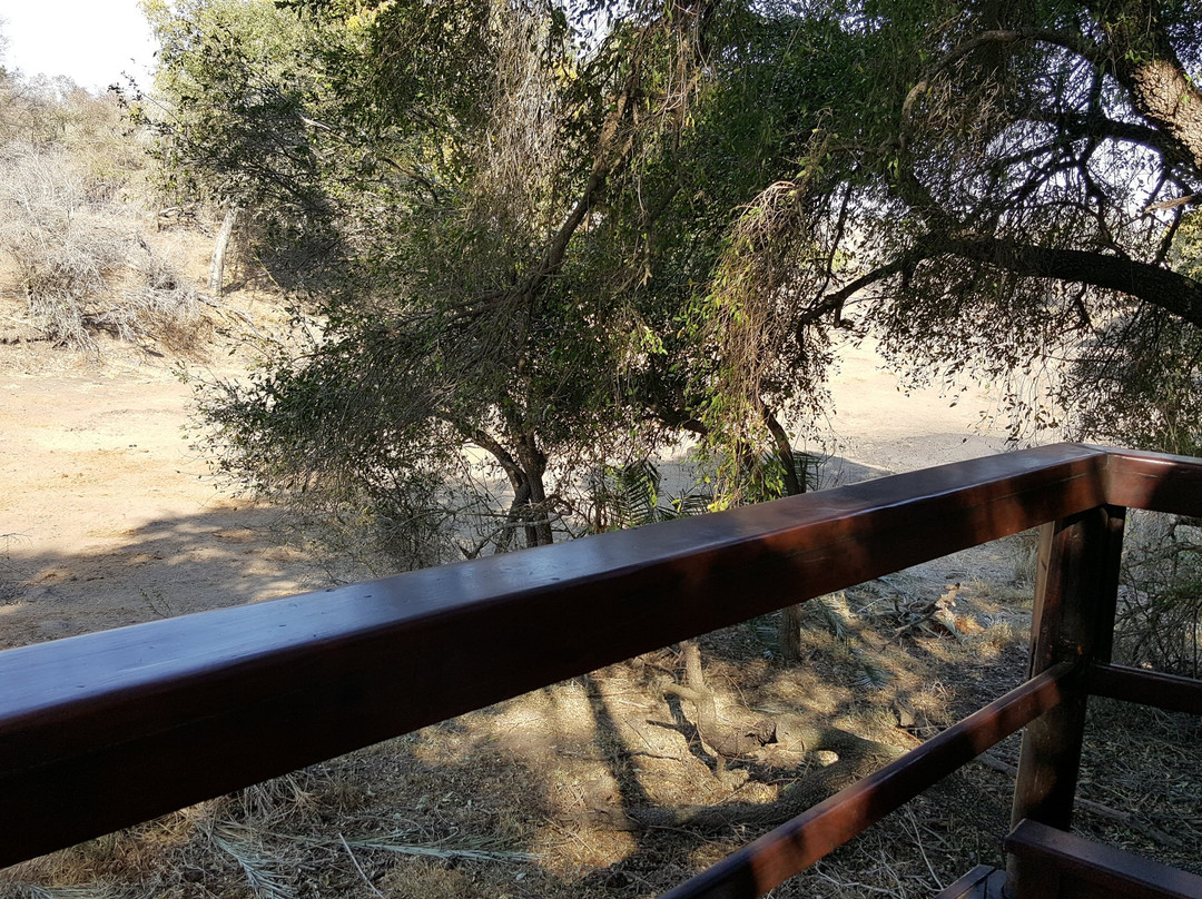 Hamiltons Tented Camp主图