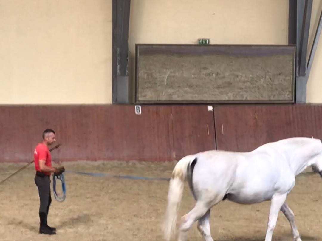 State Stud Farms Djakovo-Dakovo必去景点