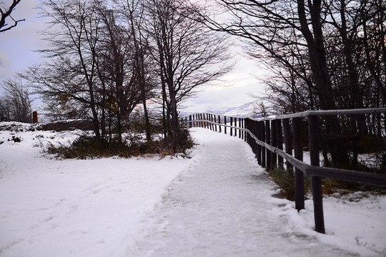 Chile Guru-圣地亚哥必去景点