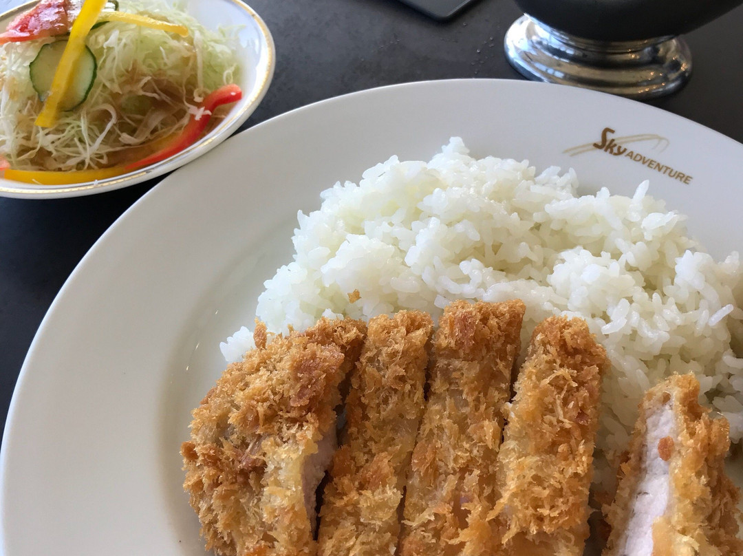 スカイアドベンチャー