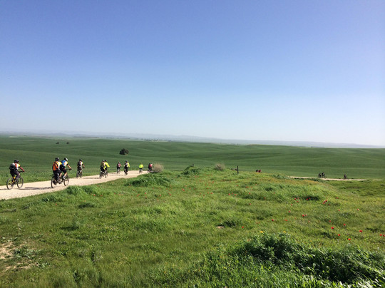 Bike Israel-特拉维夫必去景点