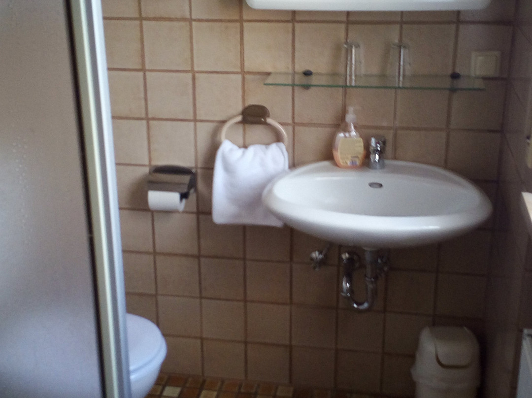 Hotel Alter Ritter主图