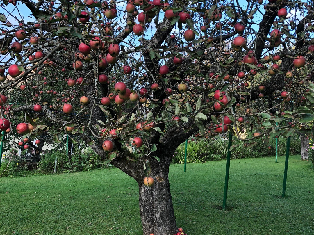 Rosegg酒店住宿-Fruhstuckspension  Ramusch