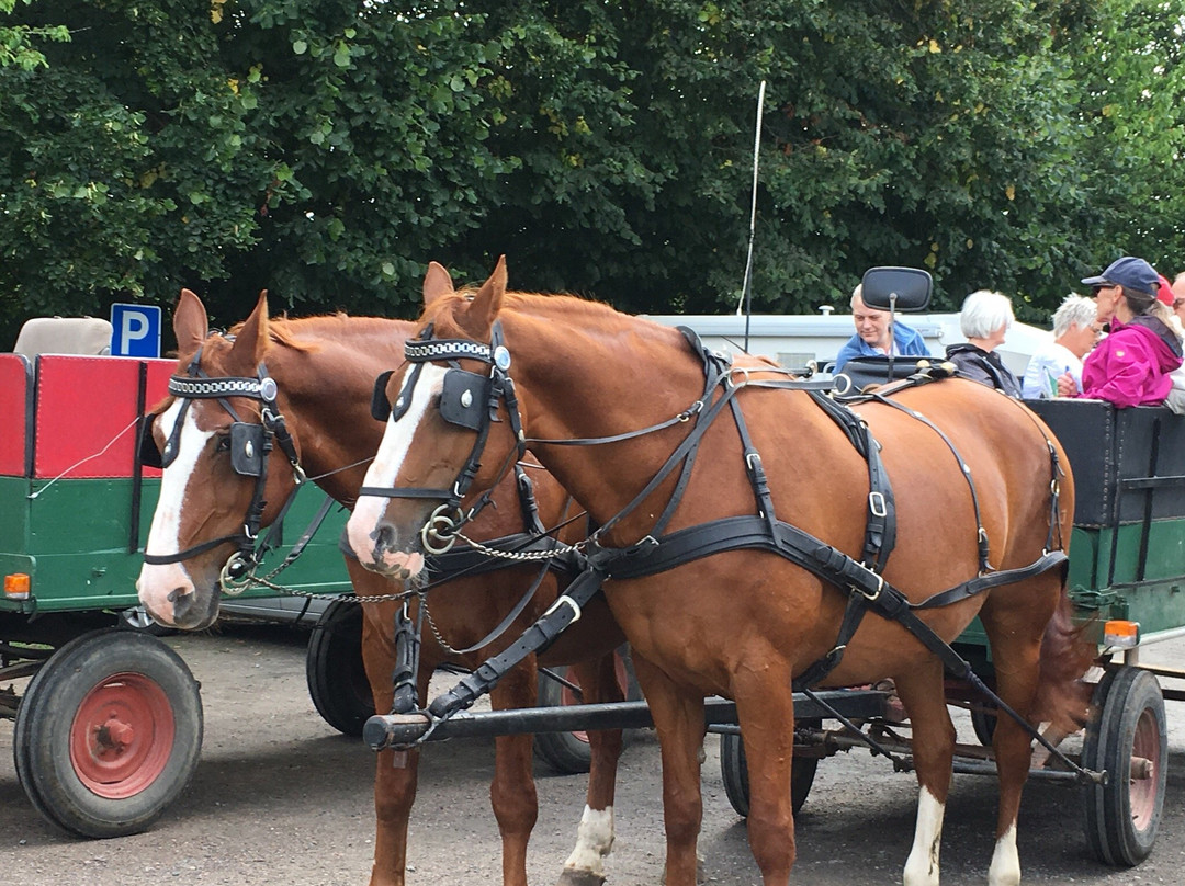Hestevognsrundtur I Almindingen Day Tours-Akirkeby必去景点