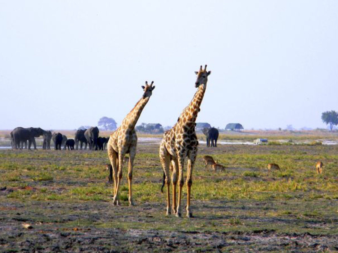 Victoria Falls Zambia- Day Tours-李文斯顿必去景点