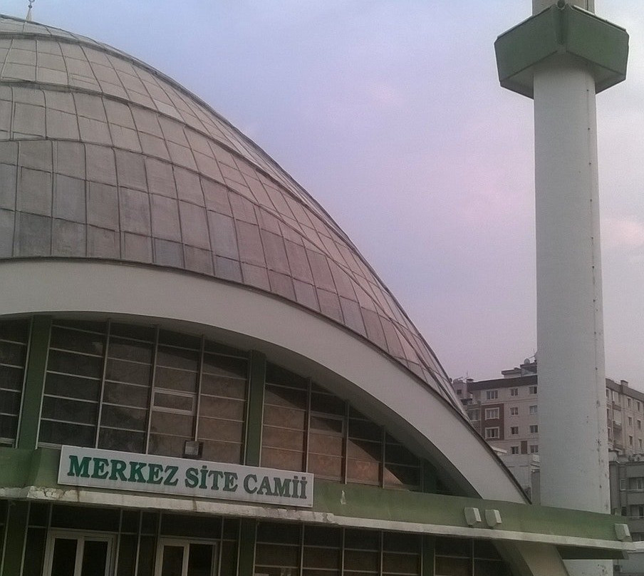 Samsun Merkez Mosque景点图片