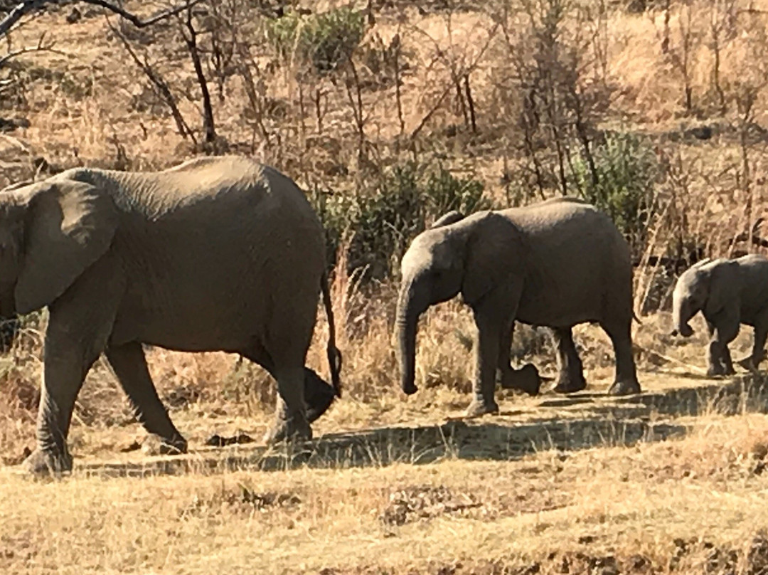 Ponciana Superior Guesthouse主图