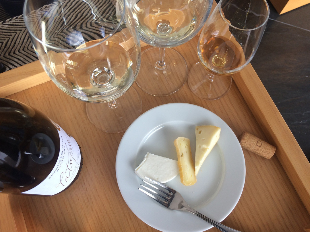 Ribafreixo Wines景点图片