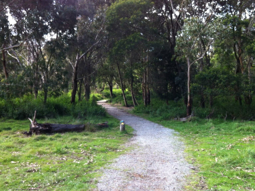 F Oswin Robert Koala Reserve景点图片