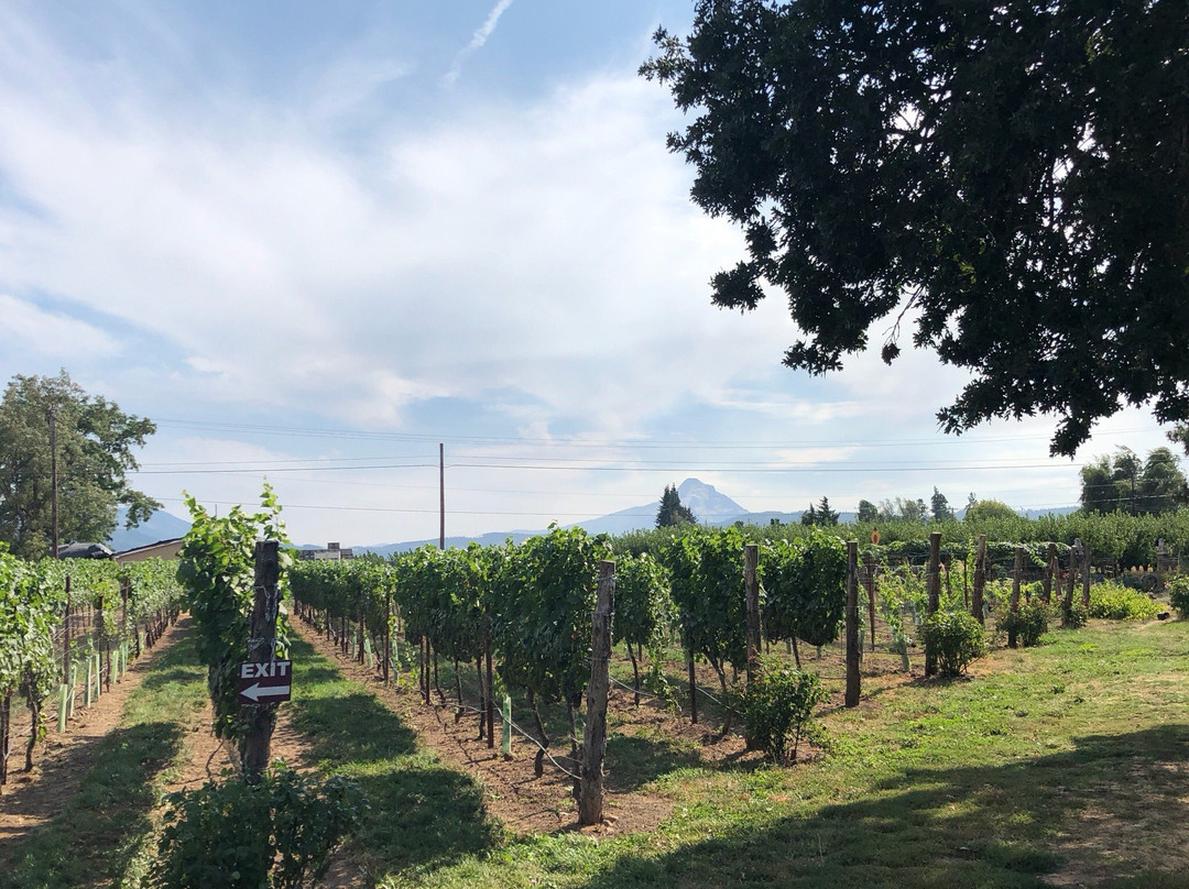 Hood Crest Winery and Distillers-胡德里弗必去景点