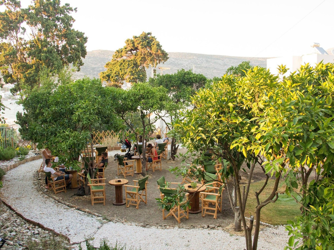 Amorgos Botanical Park景点图片