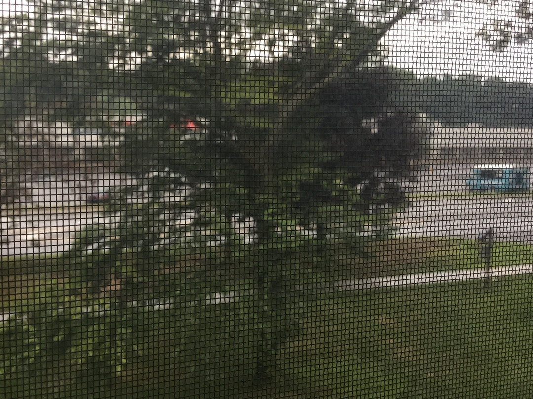 Geyser Lodge Bed & Breakfast主图