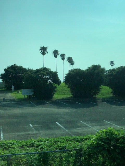 Shirahama Beach-太良町必去景点