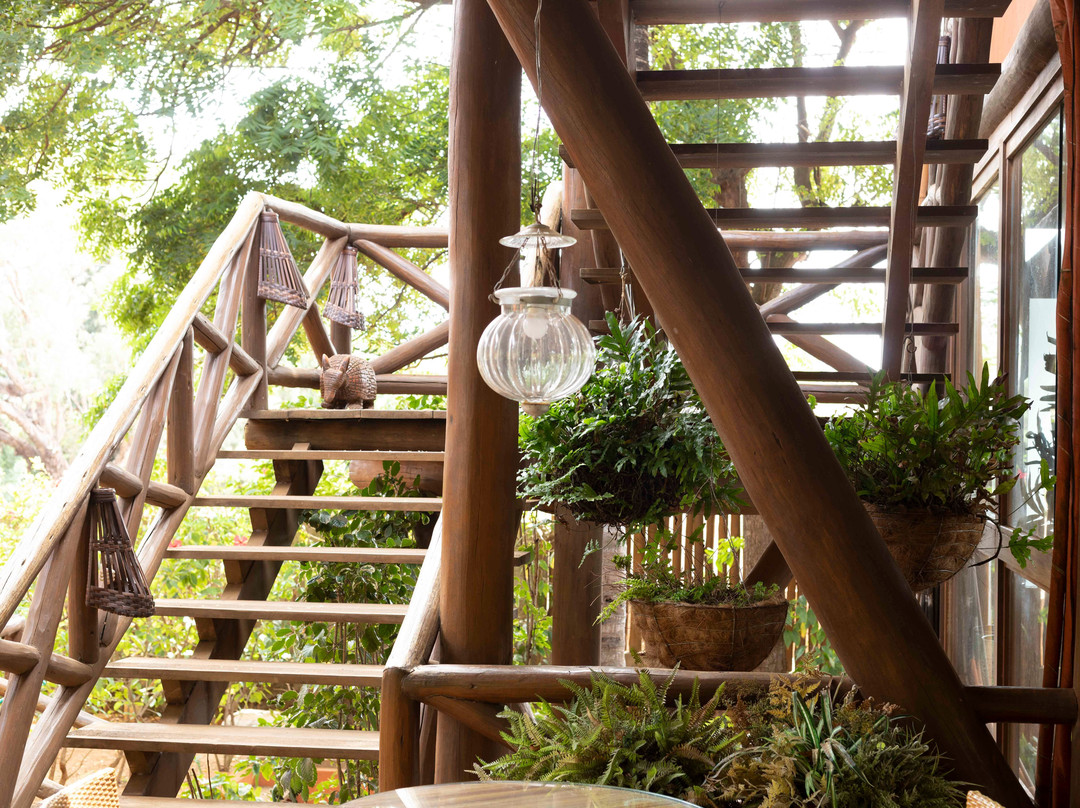 特里博茹旅馆主图